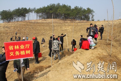 武汉新闻 荆楚网消息(记者夏青锋 牛晋阳)3月12日,植树节,黄冈市团