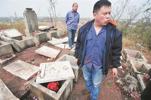 图为:张家兄弟在父亲被毁坏的墓地 楚天都市报记者魏铼摄