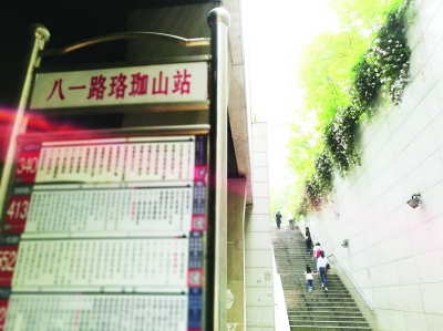 武汉"最美公交站"现身八一路 蔷薇花海中等待是种幸福